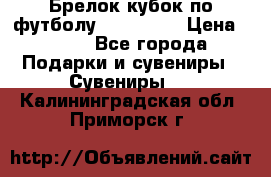 Брелок кубок по футболу Fifa 2018 › Цена ­ 399 - Все города Подарки и сувениры » Сувениры   . Калининградская обл.,Приморск г.